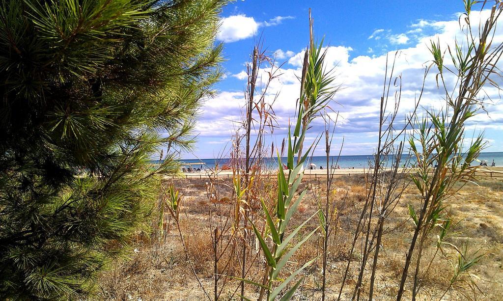 Apcostas - Habitat Playa Romana Lägenhet Alcossebre Exteriör bild